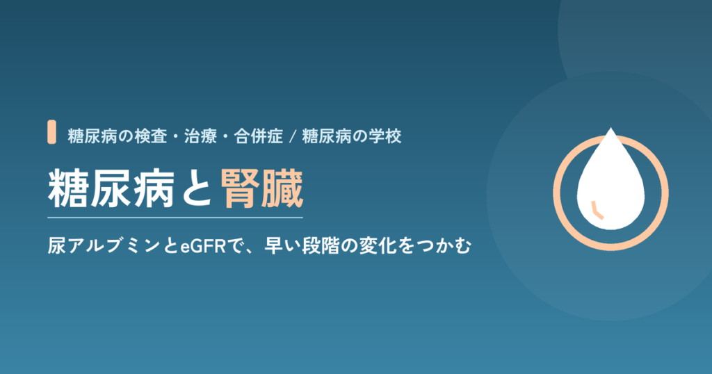 糖尿病と腎臓｜尿アルブミンとeGFRで、早い段階の変化をつかむ