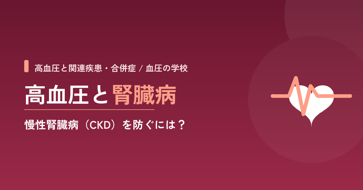 高血圧と腎臓病｜慢性腎臓病（CKD）を防ぐには？