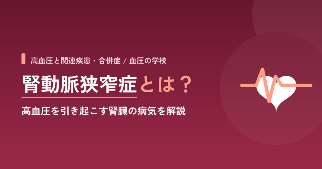 腎動脈狭窄症とは？高血圧を引き起こす腎臓の病気を解説