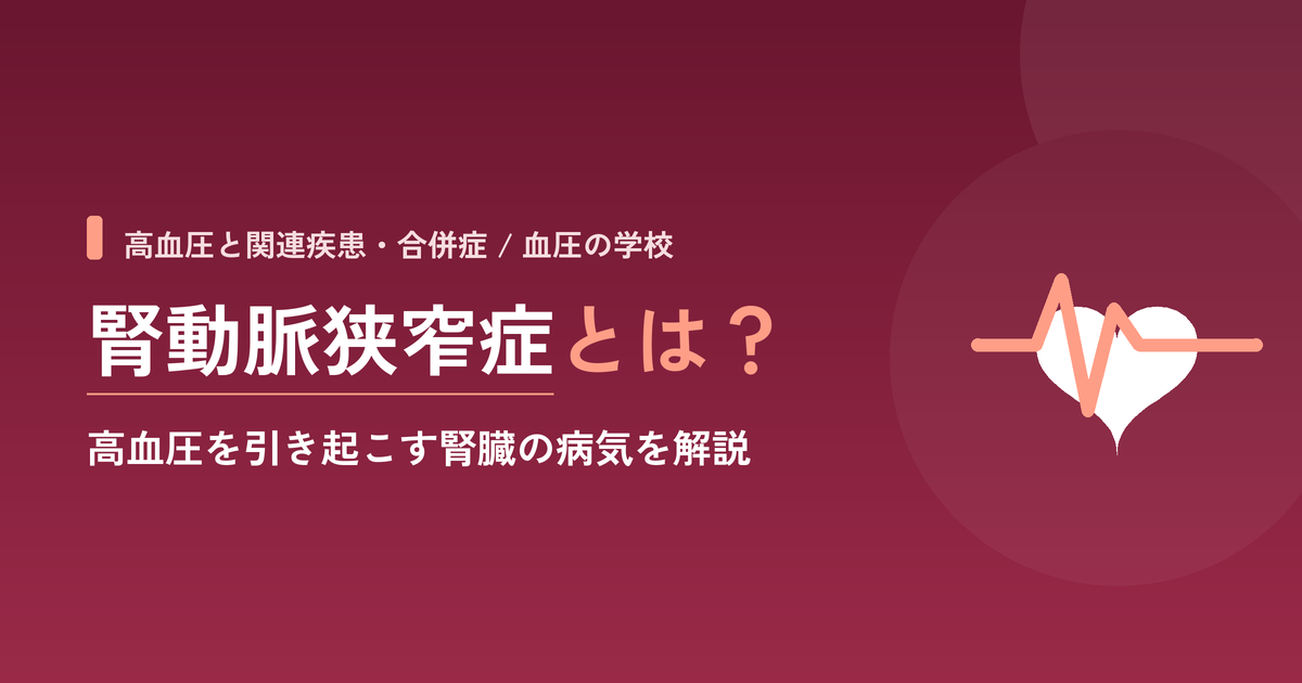腎動脈狭窄症とは?高血圧を引き起こす腎臓の病気を解説