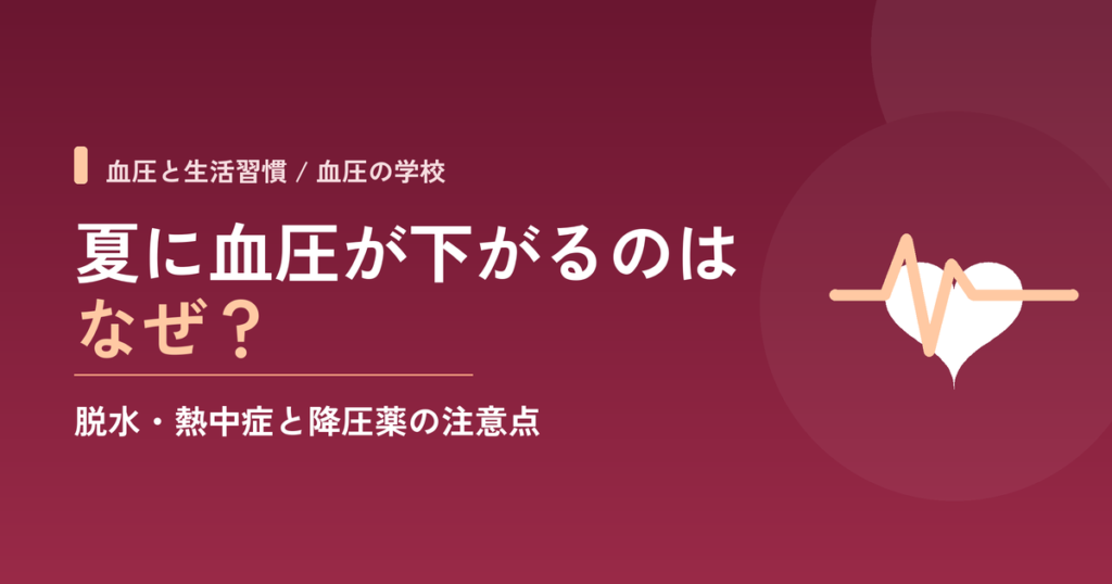 夏に血圧が下がるのはなぜ？脱水・熱中症と降圧薬の注意点