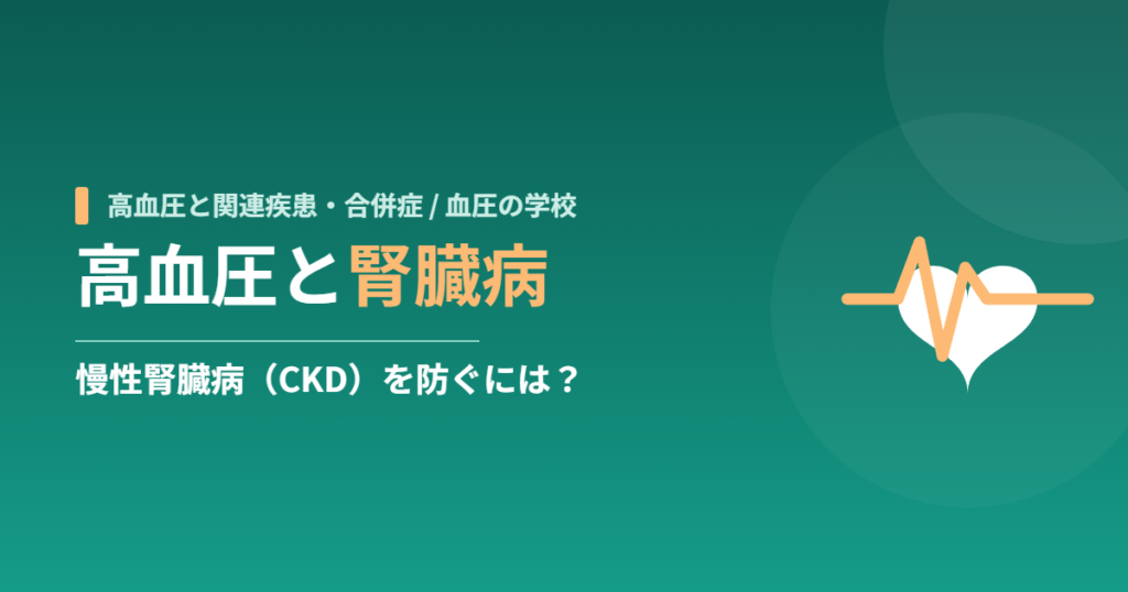 高血圧と腎臓病｜慢性腎臓病（CKD）を防ぐには？