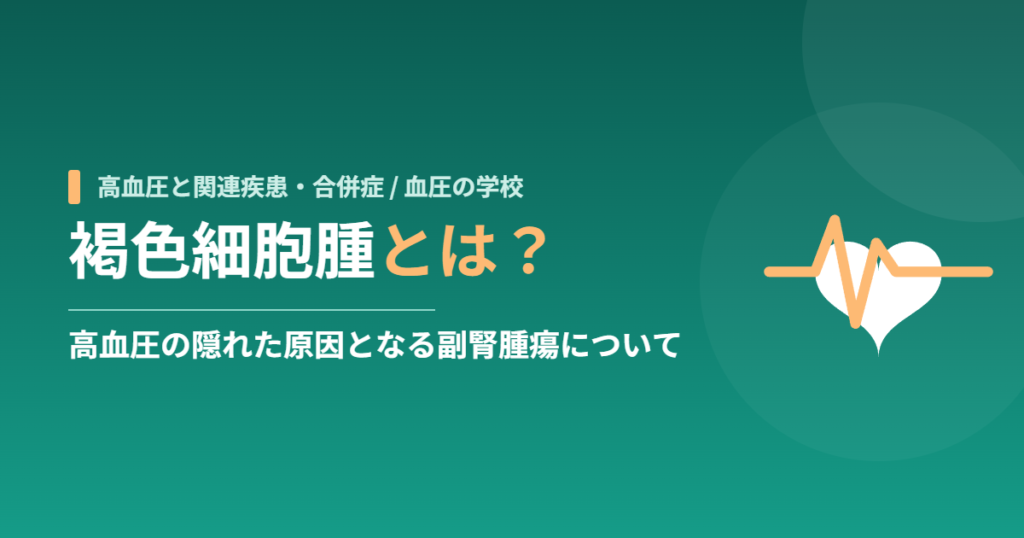 褐色細胞腫とは？高血圧の隠れた原因となる副腎腫瘍について