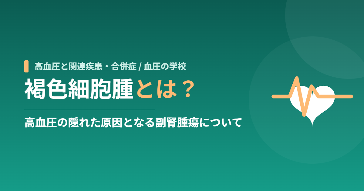 褐色細胞腫とは?高血圧の隠れた原因となる副腎腫瘍について
