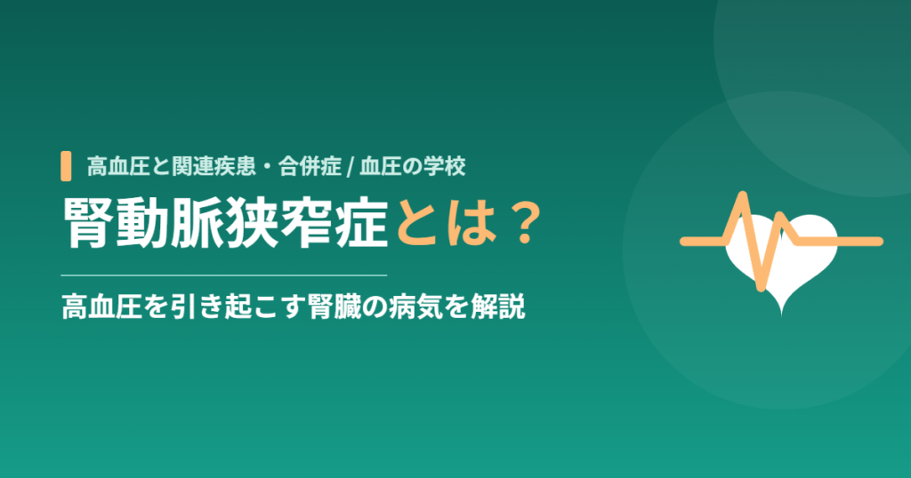 腎動脈狭窄症とは？高血圧を引き起こす腎臓の病気を解説