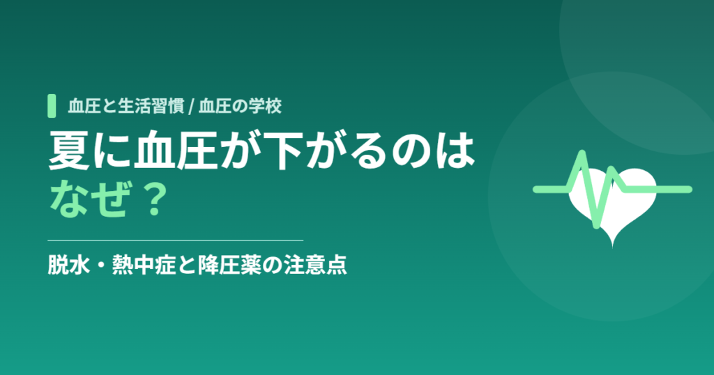 夏に血圧が下がるのはなぜ？脱水・熱中症と降圧薬の注意点